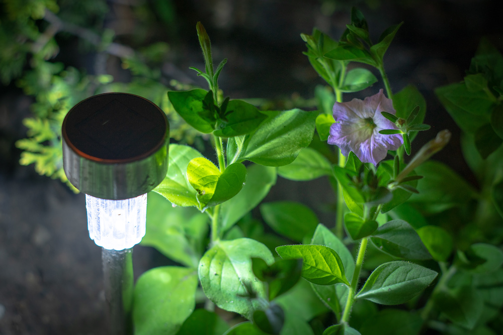 6 Tips To Make Solar Lights Last Longer How Long Do They